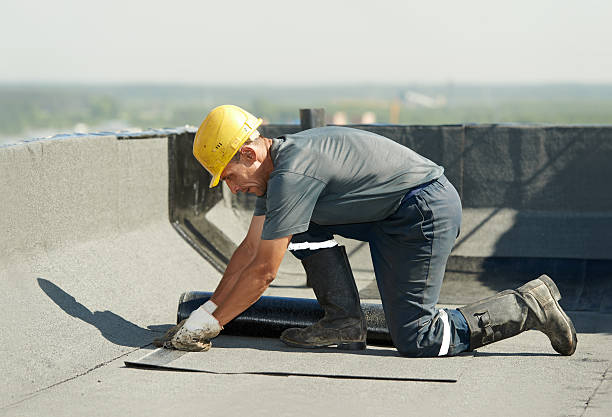 Best Wall Insulation Contractor  in Lake Katrine, NY